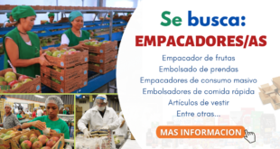 TRABAJODEEMPACADORES