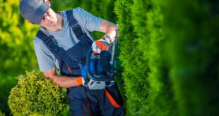 TRABAJOSDEJARDINERIA