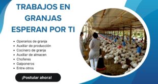 TRABAJOSENGRANJAS